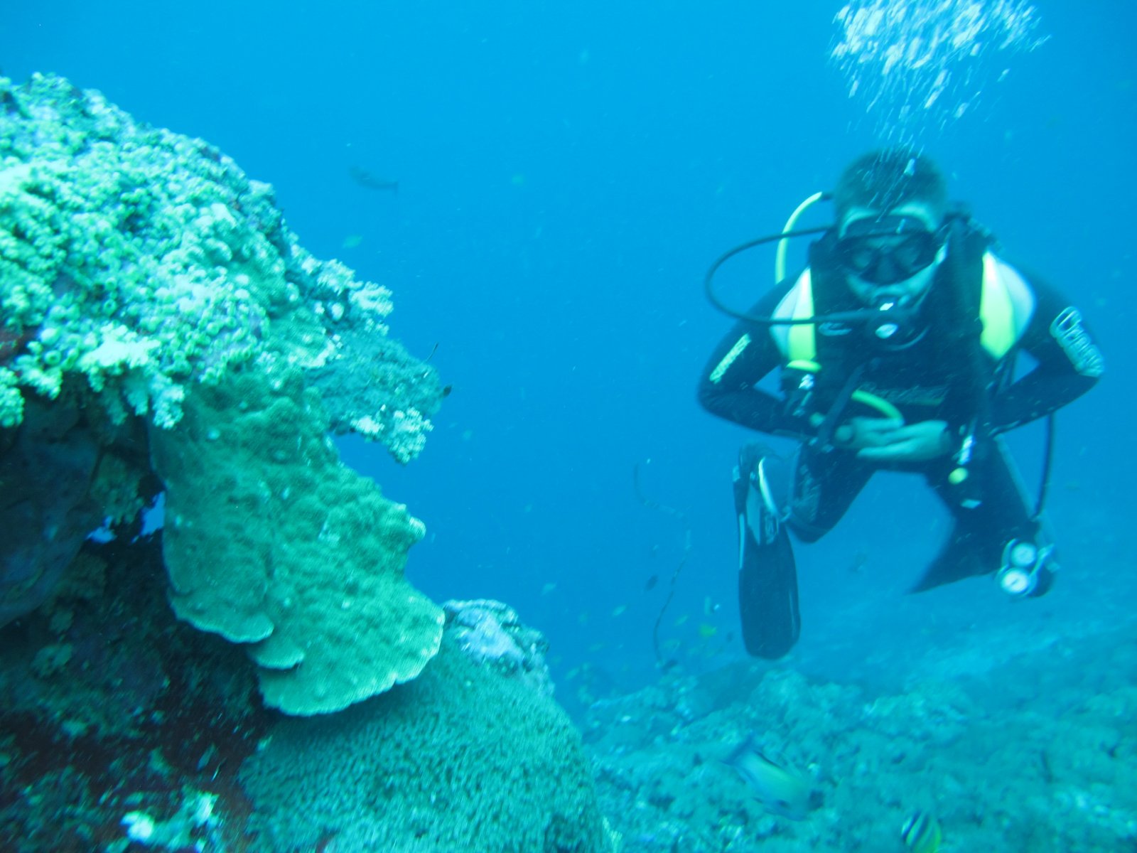 scuba starter package