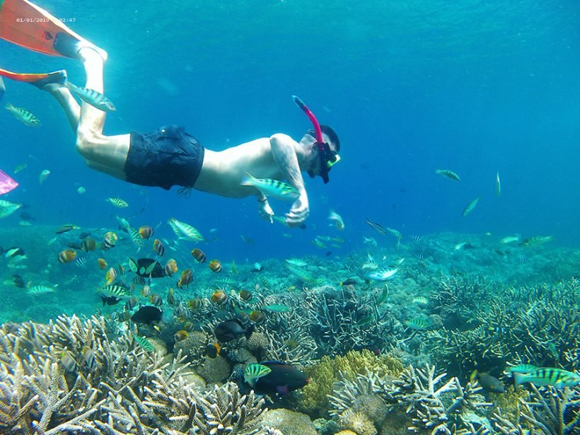 mangrove point snorkeling