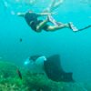 Nusa Penida Snorkeling Manta Point and West Tour