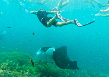 Nusa Penida Snorkeling Manta Point and West Tour