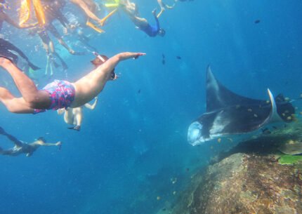 Nusa Penida Snorkeling Tour & Full Day Tour From Bali