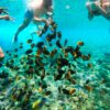 nusa penida snorkeling