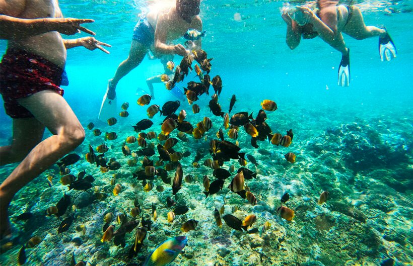 nusa penida snorkeling