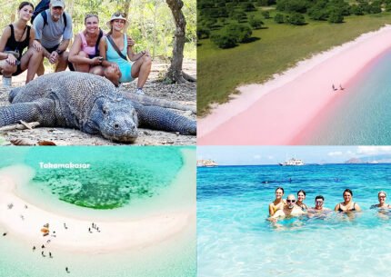 Komodo Day Trip With Private From Bali