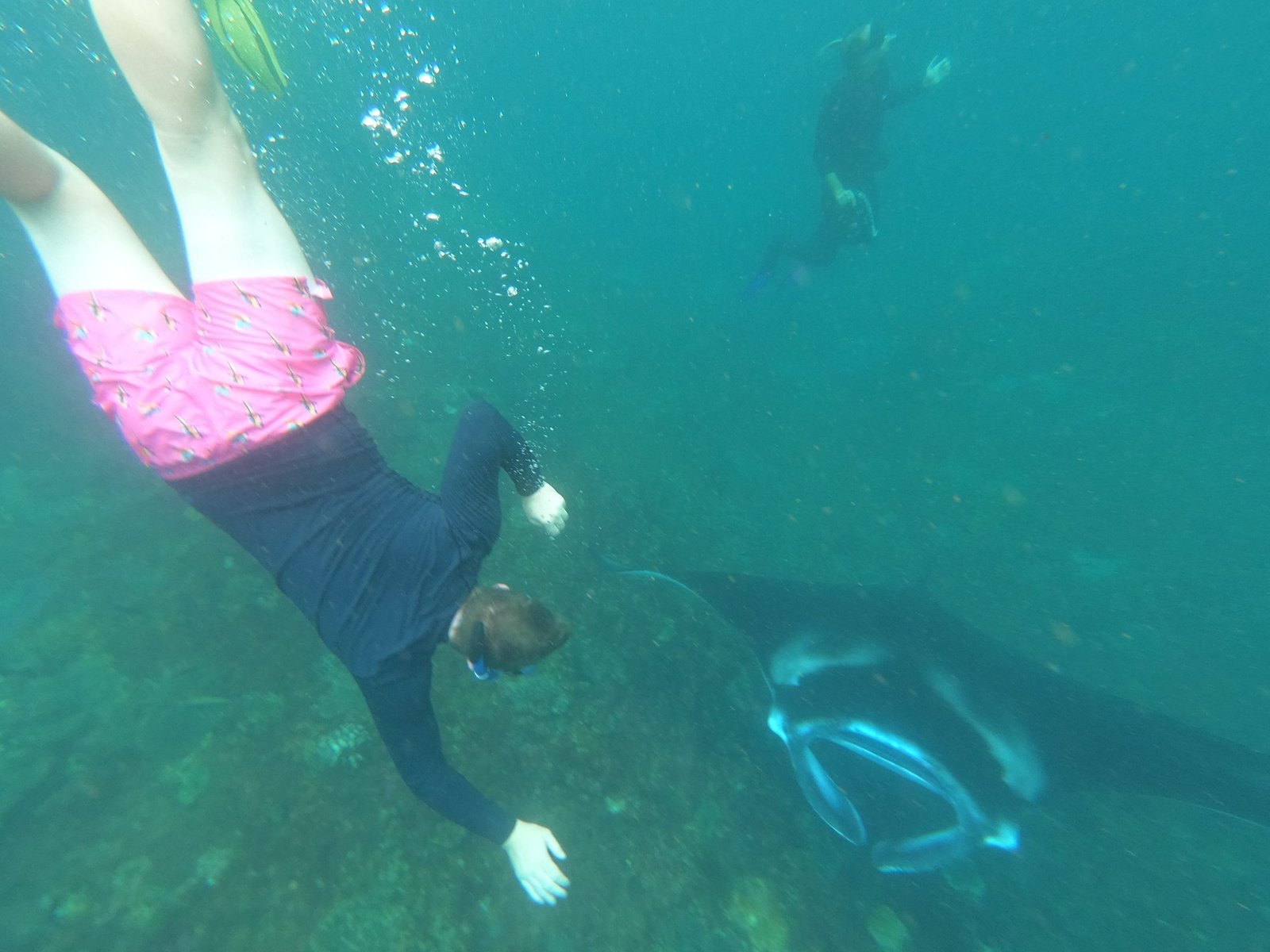 Manta Point Snorkeling in Nusa Penida