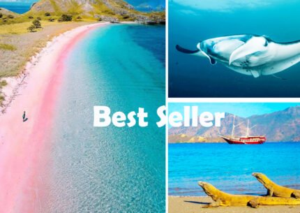 Komodo Day Tour From Labuan Bajo