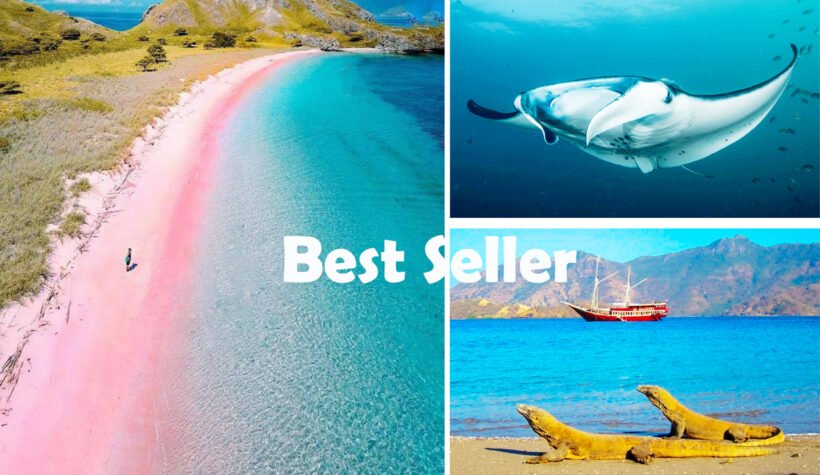 Komodo - Pink Beach komodo day tour private from labuan bajo Flores
