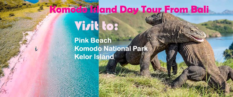 Komodo Island Tour From Bali