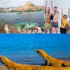 Komodo Tour Package 3 Days 2 Night From Labuan Bajo