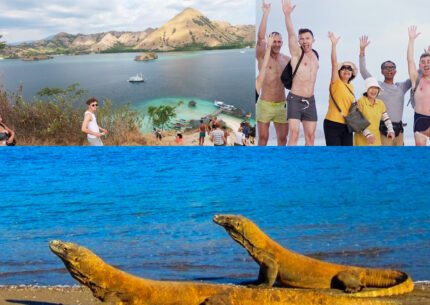 Komodo Tour Package 3 Days 2 Night From Labuan Bajo