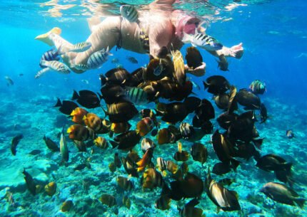 Gili Nanggu & Gili Gede snorkeling Trip Lombok