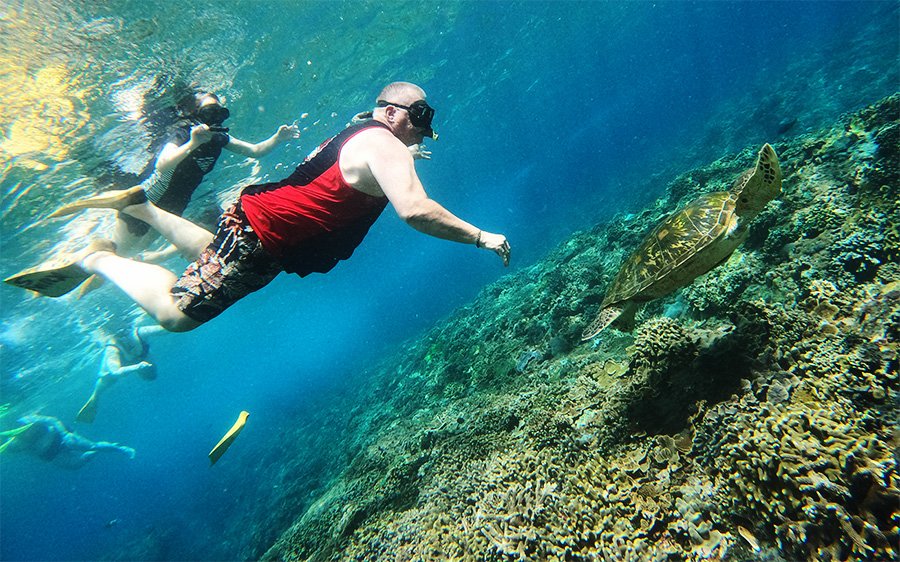 Gili gede turtle Gili gede turtle