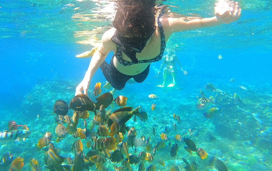 Gili nanggu snorkeling Gili nanggu snorkeling