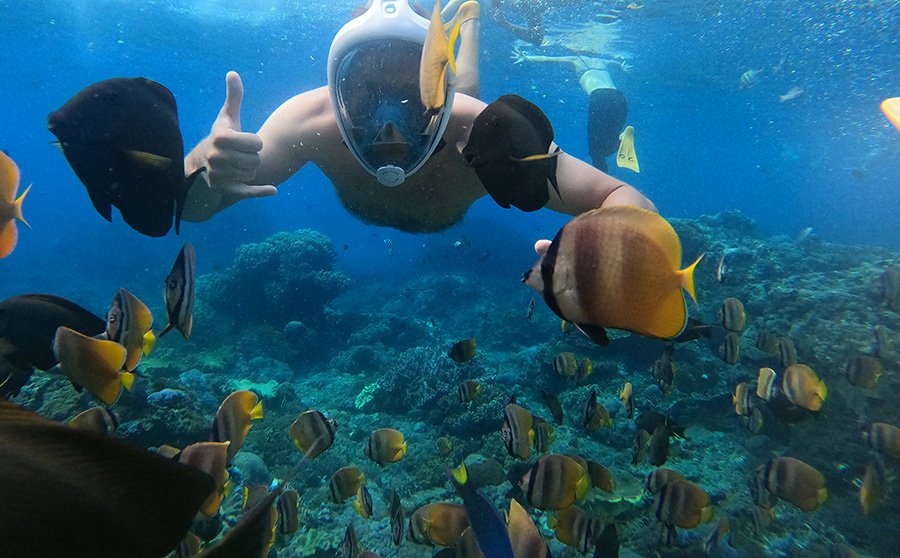 gili sudak gili sudak