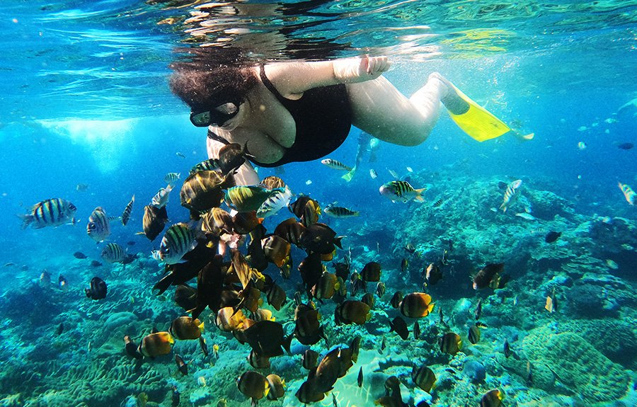 snorkeling Gili Grde snorkeling Gili Grde