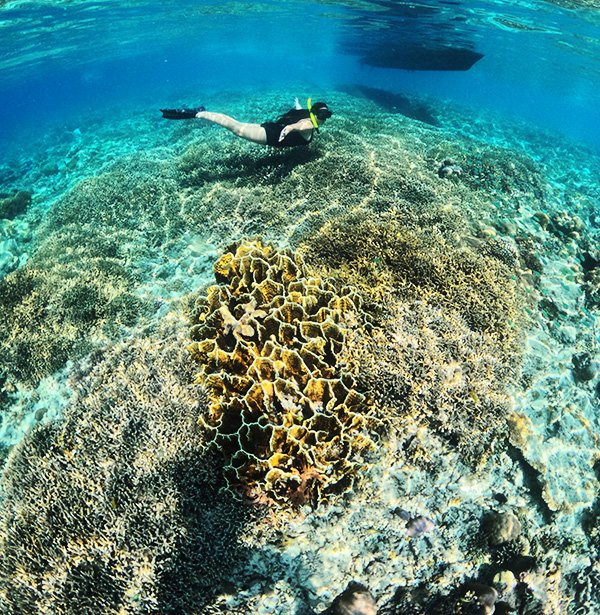Pinada Island Luxury Bali Nusa Penida and Gili Islands Tour - 10 Days 9 Nights - Nusa ...