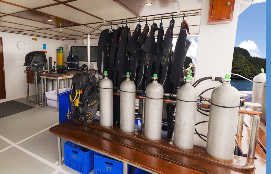 Dive Gears Dive Gears