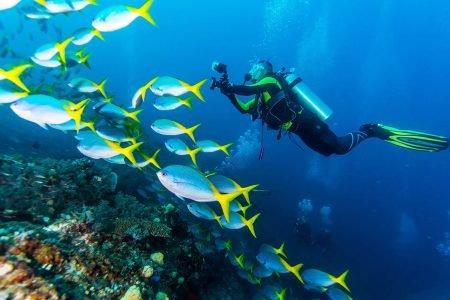 Komodo Dive liveaboard 4 Days 3 Nights