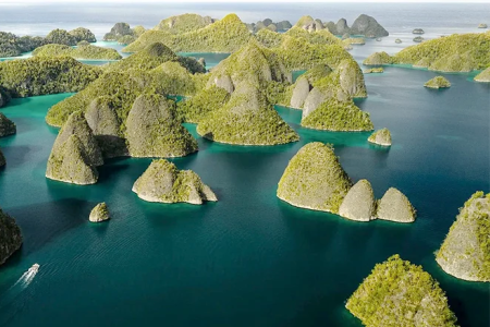 Private Raja Ampat Tour Package 5 Days 4 Nights from Bali