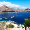 Shared Komodo 1 Day Trip From Bali