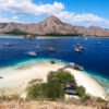 Komodo Full Day Tour and Overnight Hotel