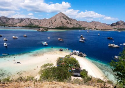 Komodo Full Day Tour and Overnight Hotel