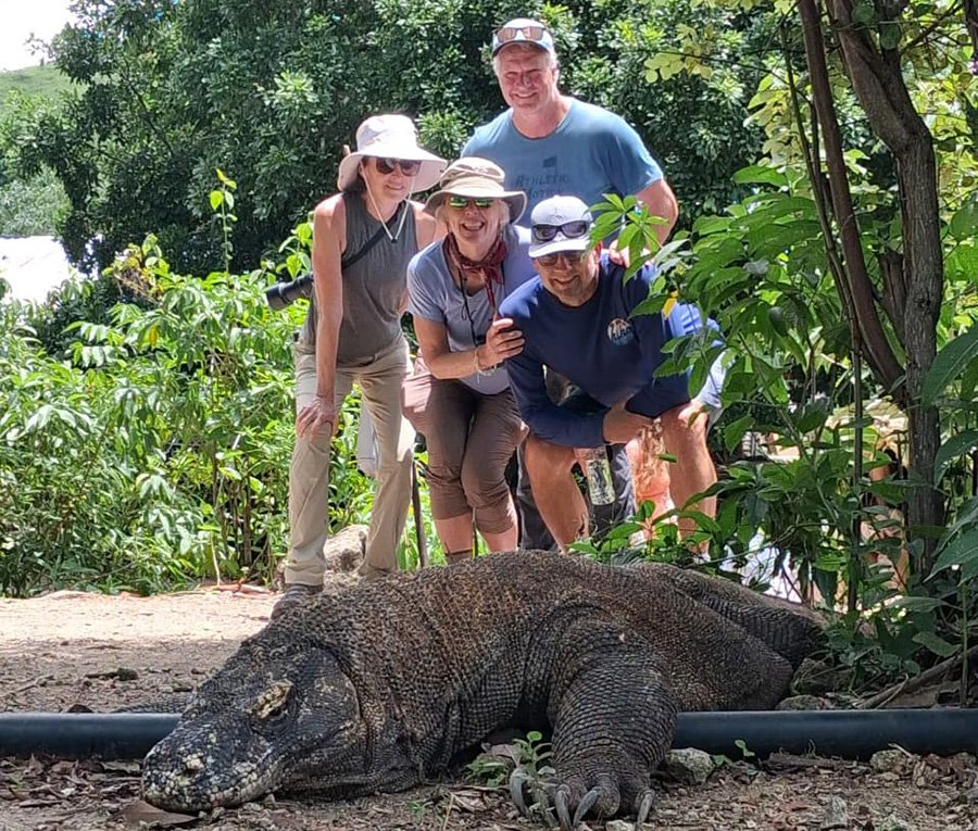 Komodo Dragon Komodo Dragon