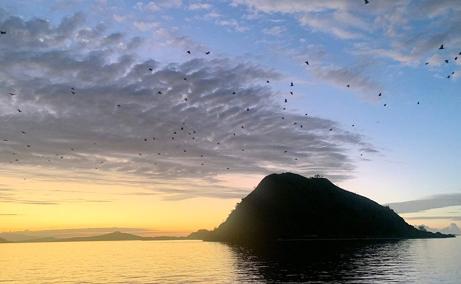 Komodo susnset Komodo susnset