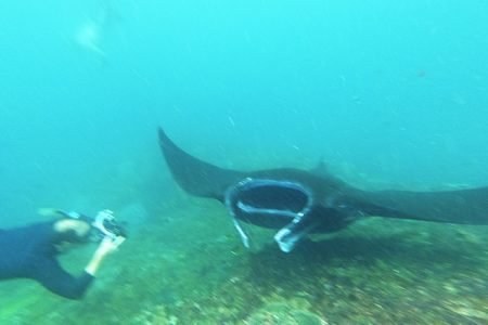 Private Manta Point Snorkeling by Speedboat from Sanur