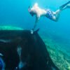 Nusa Penida Manta Point Private Snorkeling Tour From Bali