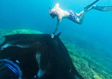 Nusa Penida Manta Point Private Snorkeling Tour From Bali