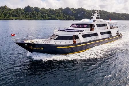 Sumbawa Whale Shark Dive and Komodo Liveaboard from Bali 8 Days 7 nights