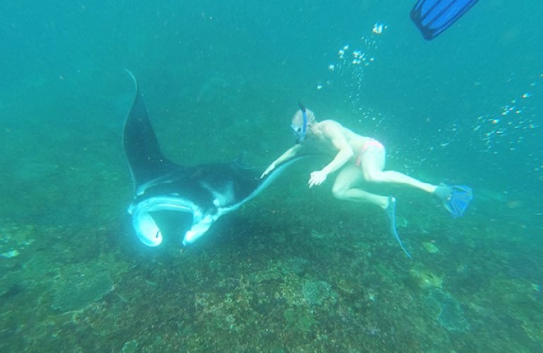 Pinada Island Private Nusa Penida Manta Point Snorkeling Tour from Bali - Nusa Penida ...