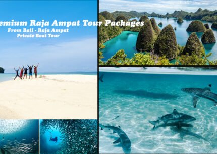 Raja Ampat Tour Package 5 Days 4 Nights From Bali. Beautiful beach Raja Ampat Island, West Papua Indonesia. Come here and joint us enjoy last paradise in the word. Snorkeling, Trekking, and land tour.