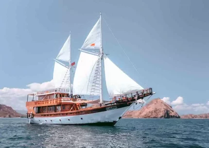 Komodo Island Tour Liveaboard Schedules 2025 From Bali or Lombok