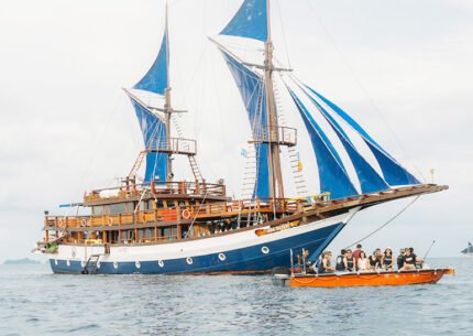 Raja Ampat Ultimate Dive Liveaboard Experience 8 Days 7 Nights