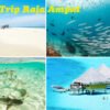 Raja Ampat Island Open Tour Package From Bali or Sorong