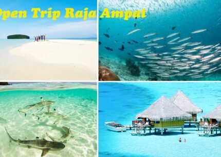 Raja Ampat Island Open Tour Package From Bali or Sorong