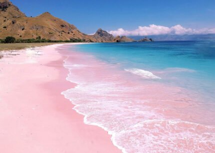 Komodo Island Tour from Bali and Flight Ticket to Labuan Bajo