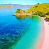 pink beach flores