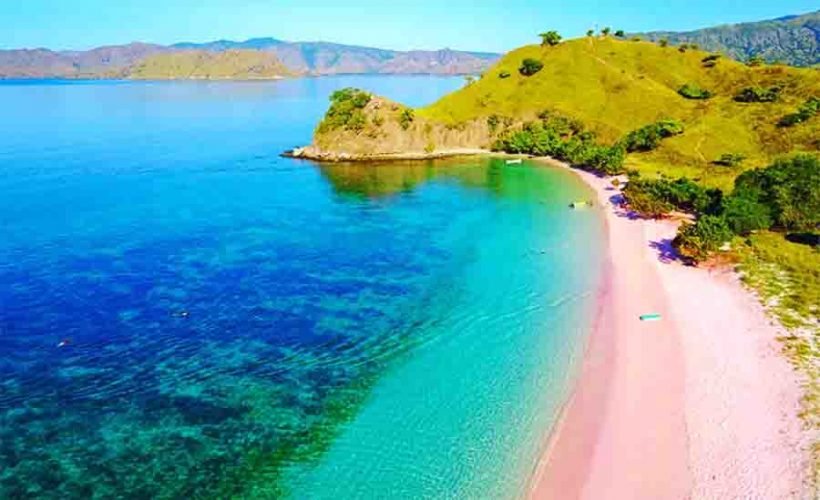 pink beach flores