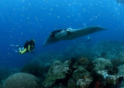 Raja Ampat West Papua Liveaboard 8 Days 7 Nights From Sorong