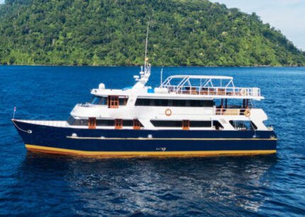 Komodo Whale Sharks Dive 10 Days 9 Nights From Bali