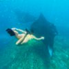 Nusa Penida Snorkeling Trip To Manta Point From Bali