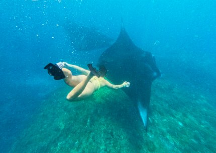 Nusa Penida Snorkeling Trip To Manta Point From Bali