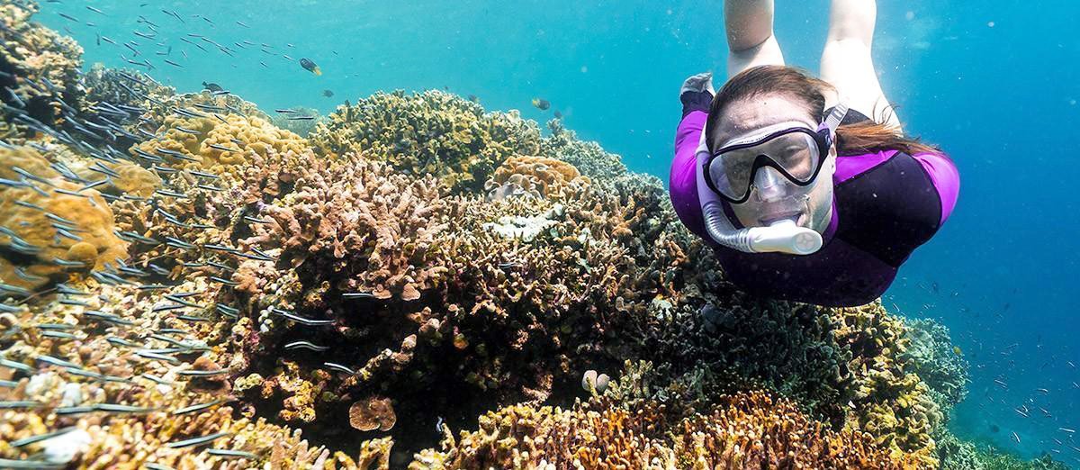 Wakatobi best snorkeling Wakatobi best snorkeling