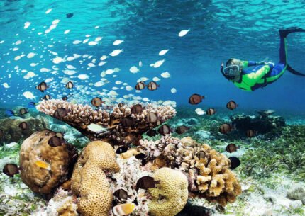 Wakatobi Tour and Snorkeling 4 Days 3 Nights from Bali