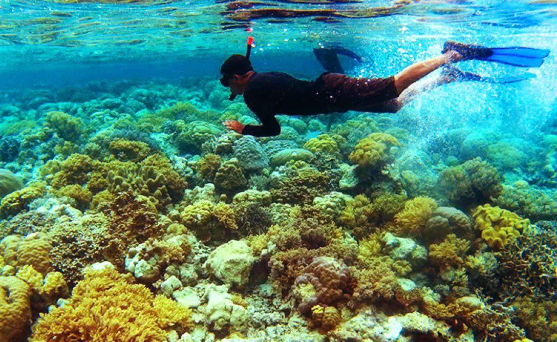 Wakatobi tour activity Wakatobi tour activity