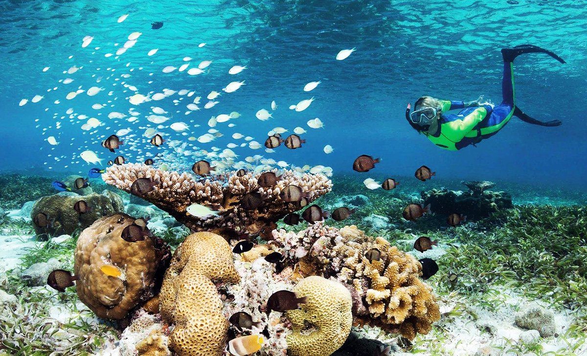 Wakatobi tour Wakatobi Tour and Snorkeling 4 Days 3 Nights from Bali