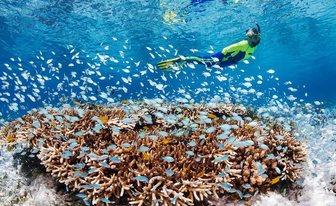 Wakatobi underwater beauty Wakatobi underwater beauty